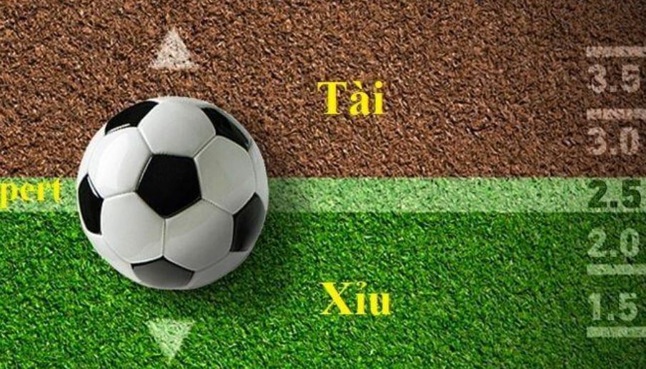 Top Game Bài Uy Tín 2025 Chơi Đổi Thưởng An Toàn Nhanh Gọn Cách thức đặt cược hiệu quả khi chơi kèo tài xỉu 2 25