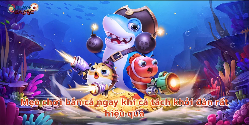 bancatachkhoidan Chơi Game Hot 2026 Top Game Đổi Thưởng Giải Trí | Gamebaitopvip Mẹo chơi bắn cá ngay khi cá tách khỏi đàn rất hiệu quả